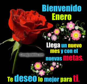 bienvenido enero