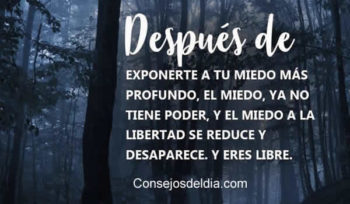 libertad frases