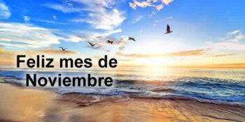 noviembre frases