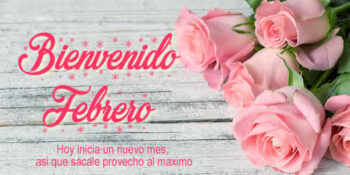 febrero frases