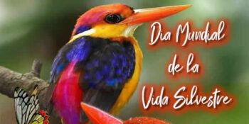 dia de la vida silvestre