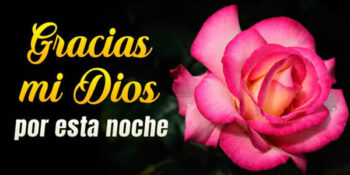 frases buenas noches