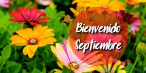 septiembre frases