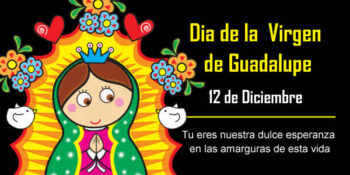 dia virgen de guadalupe