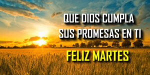 imagenes buenos dias martes