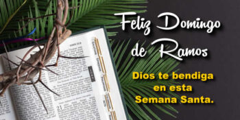 frases domingo de ramos