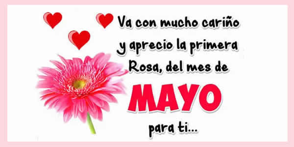 frases mayo