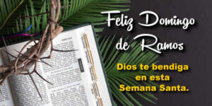 frases domingo de ramos